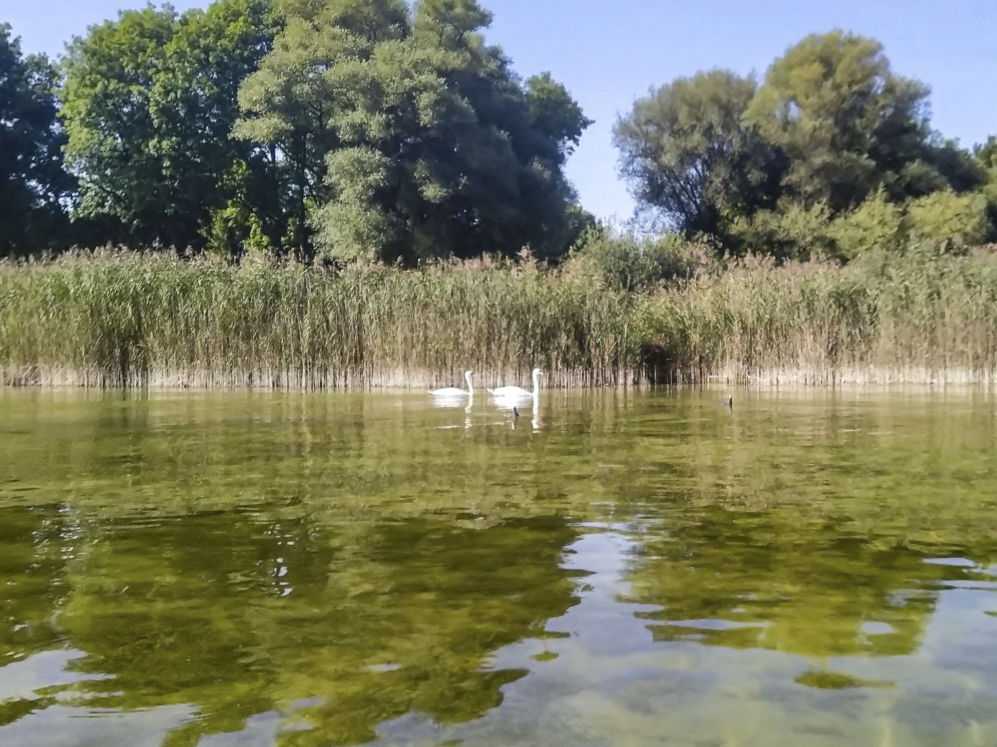 Kajaktour Ammersee Stegen 25.09.2021